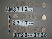 藏品(美國5分硬幣)的圖片